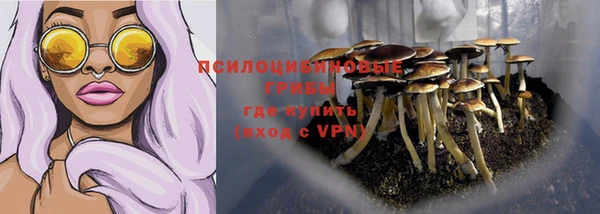 mdpv Нея