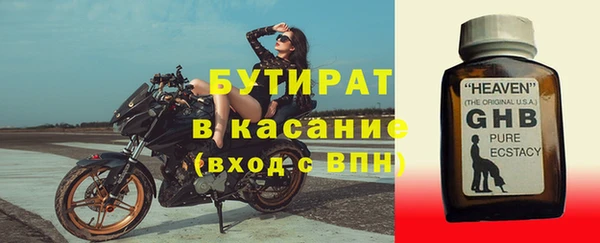 сатива Новодвинск