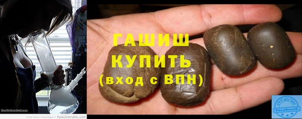 сатива Новодвинск