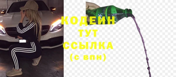 сатива Новодвинск