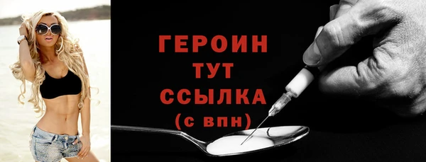 сатива Новодвинск