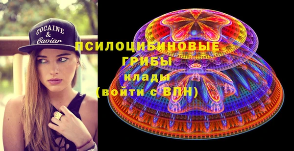 mdpv Нея
