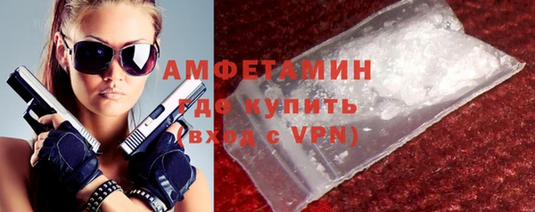 сатива Новодвинск