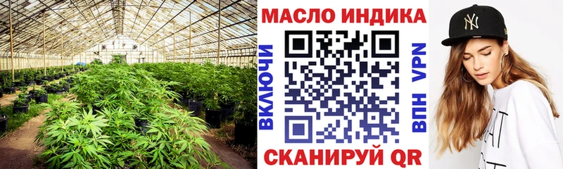 как найти закладки Орлов ТГК Wax