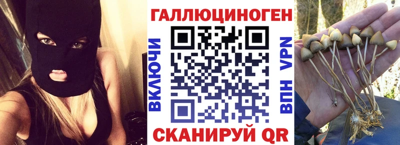 наркотики  Орлов  Псилоцибиновые грибы Cubensis 